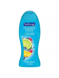 Softsoap Moisturizing Body Wash Citrus Splash and Berries 20.0 fl oz