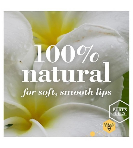 Burt's Bees 100% Natural Moisturizing Lip Balm Mango 0.15 oz